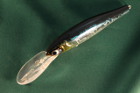 LCR01